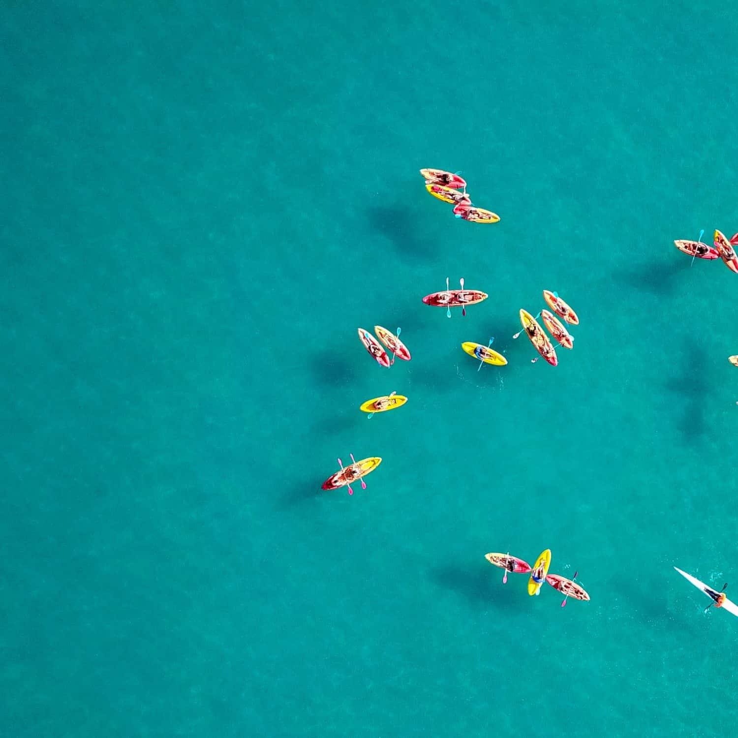 Kayak Cayman Island