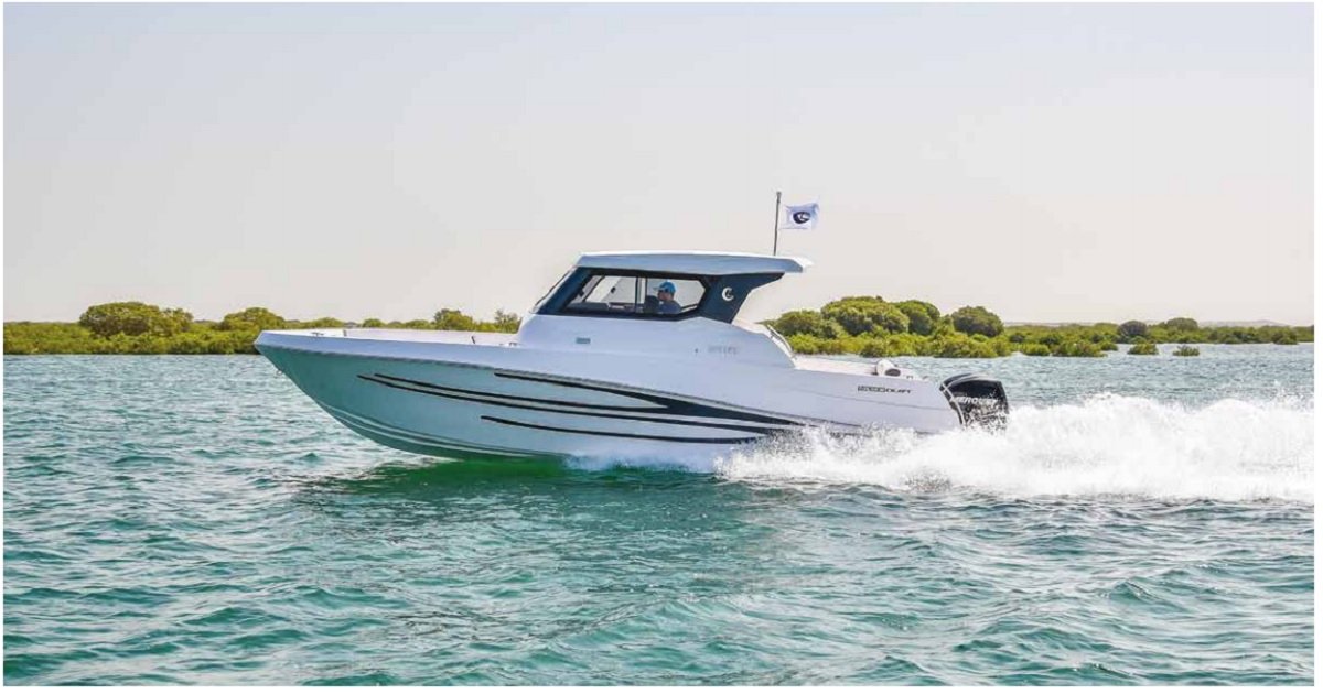 Dubai Boat Hire Aboard a 31ft Silvercraft