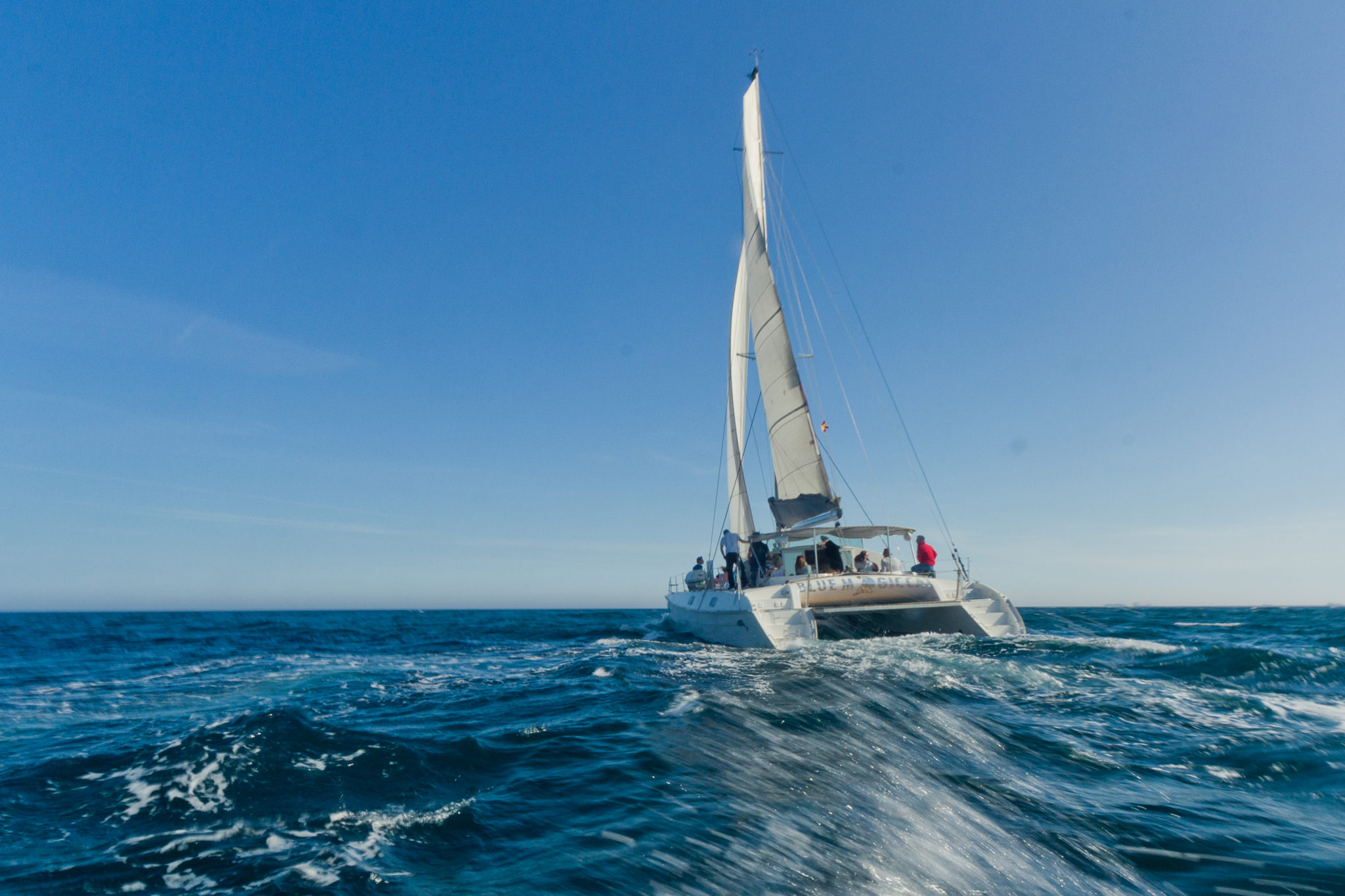 Private Catamaran experience in Barcelona