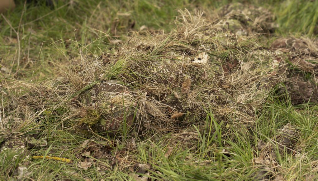 CFIX System GHOSTHOOD