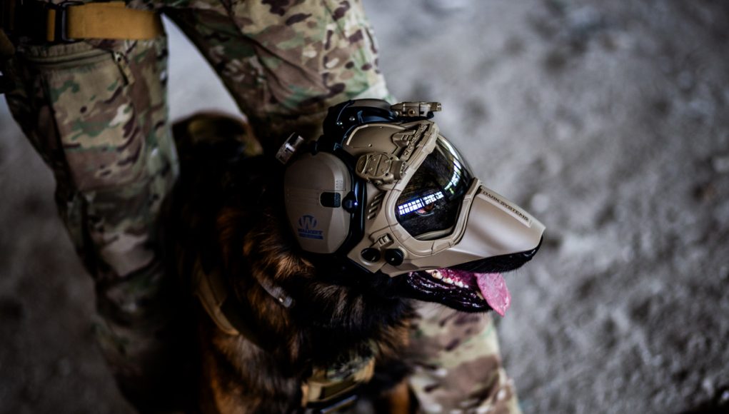Dark Systems - K9 Helmet GEN4