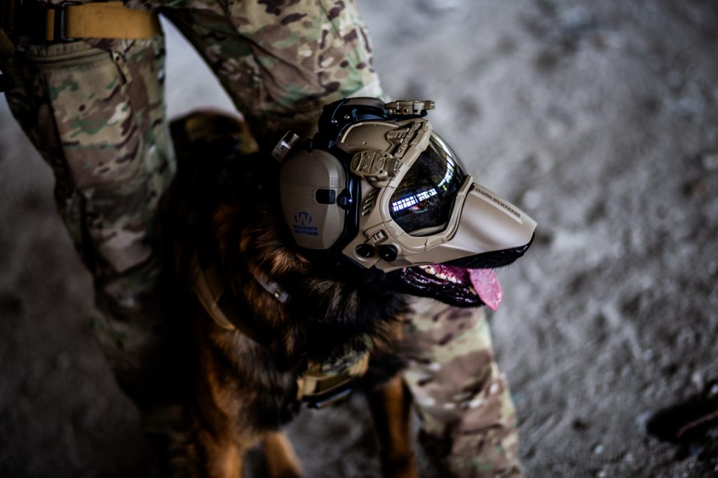 Dark Systems - K9 Helmet GEN4