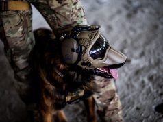 Dark Systems – K9 Helmet GEN4 Dark Systems - K9 Helmet GEN4