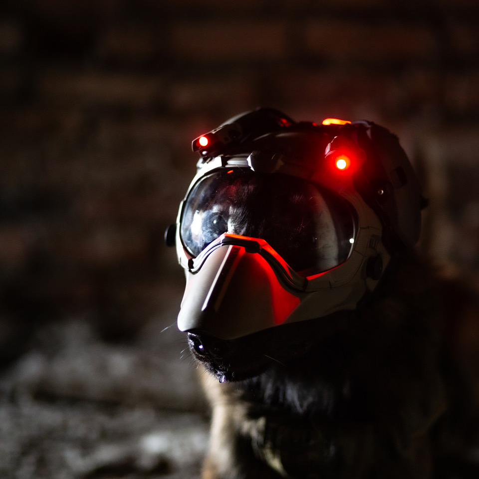 Dark Systems - K9 Helmet GEN4