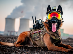 DARK SYSTEMS – DarkFighter Gimbal K9 Camera DarkFighter Gimbal K9 Camera