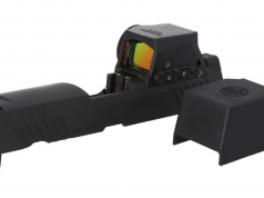 Black ROMEO-M17 Slides Black ROMEO-M17 Slide Assemblies