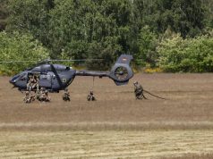 Joined Forces Exercise Green Bird Exercise Green Bird