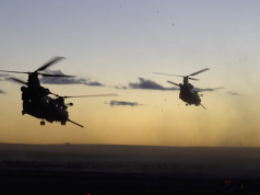 Night Stalker Days in the Sun Night Stalker Days in the Sun