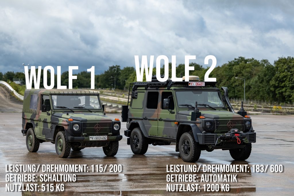 Wolf 2