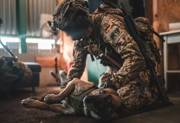 K9 TCCC
