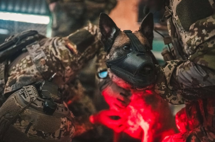 K9 TCCC