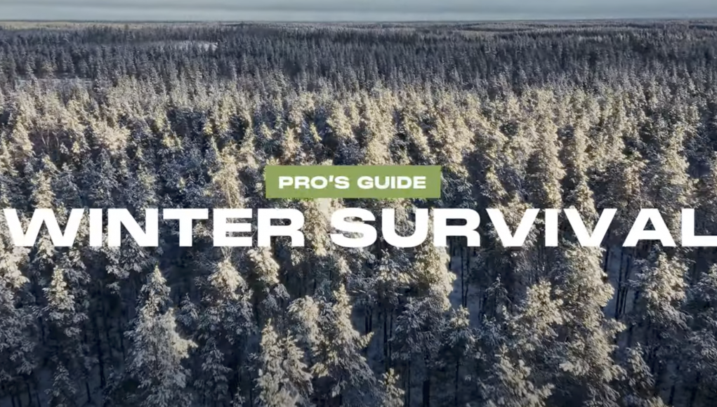 Pro's Guide to Winter Survival