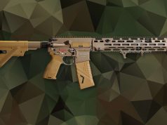 G95/HK416A8 will be handed over HK416 A8