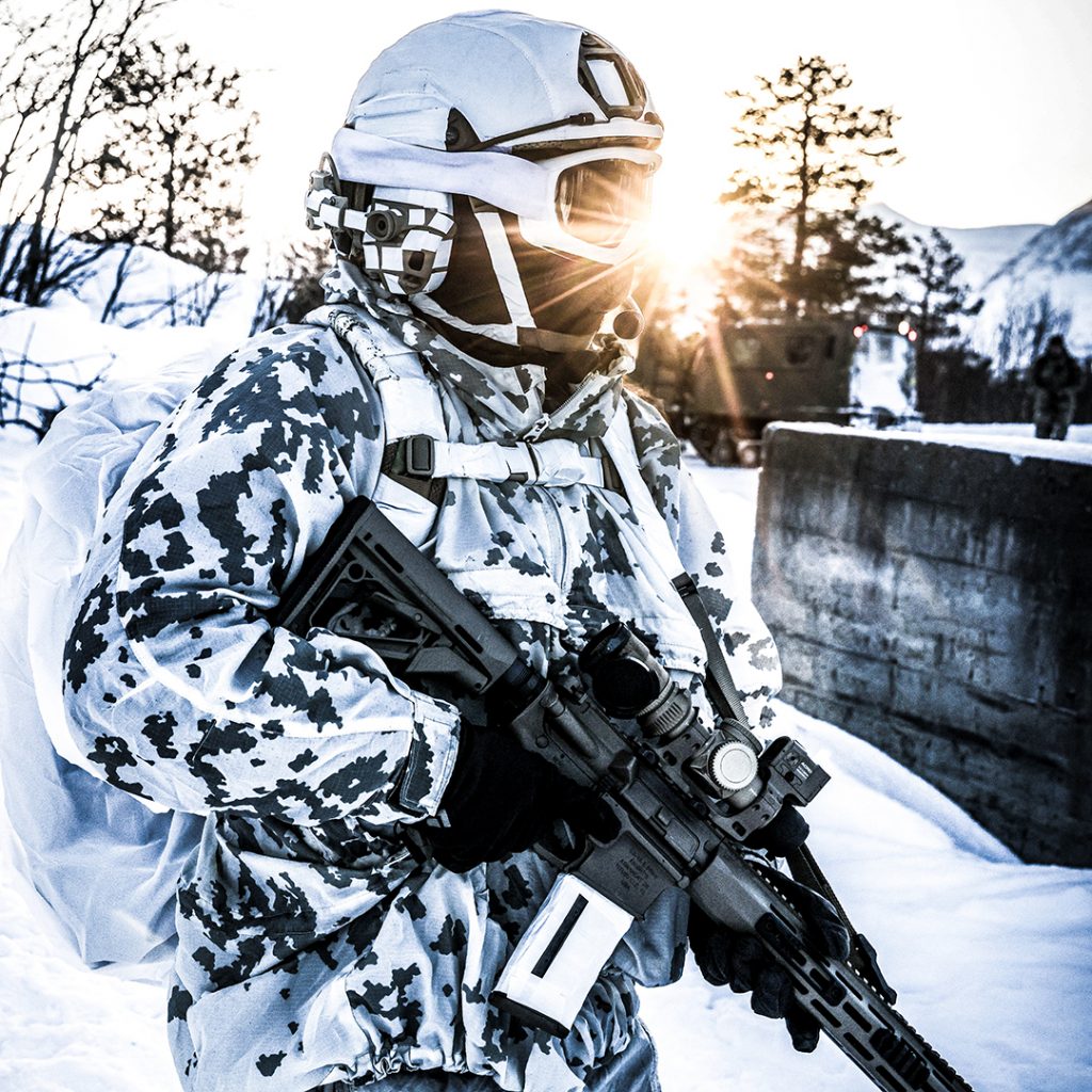Royal Marines Arctic Training