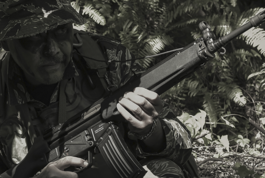 Umarex/VFC HK33 GBBR — Now Available Umarex/VFC HK33 GBBR