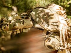 BNVD Slipcover Now Available BNVD Slipcover