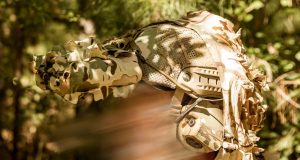 BNVD Slipcover Now Available BNVD Slipcover