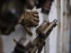 Gloves that fit like a second skin… kinetixx tactical x-roar glove
