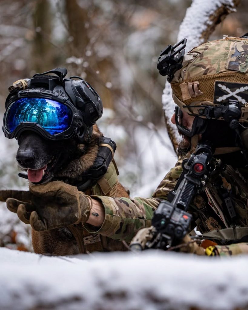 The Spanish Joint Special Operations Command