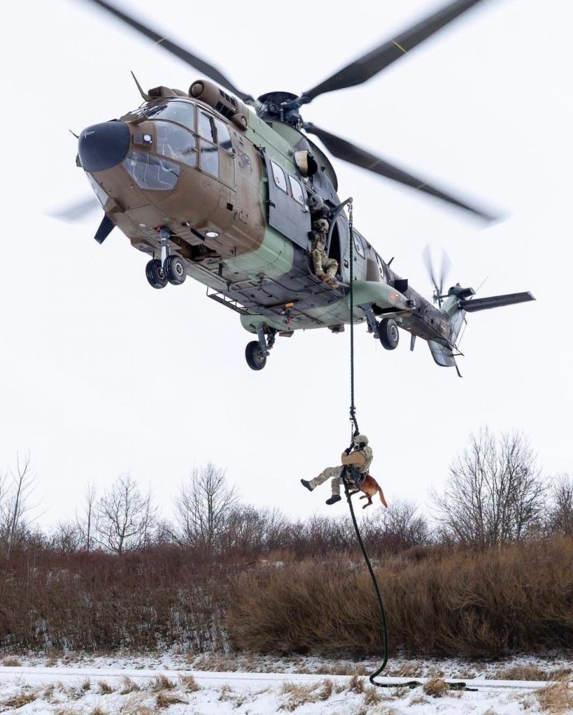 The Spanish Joint Special Operations Command
