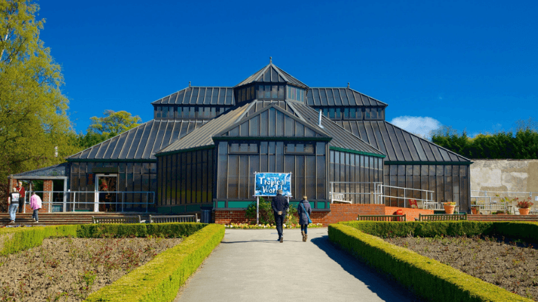 tropical world
