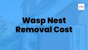 wasp nest removal cost leeds BPCA certified