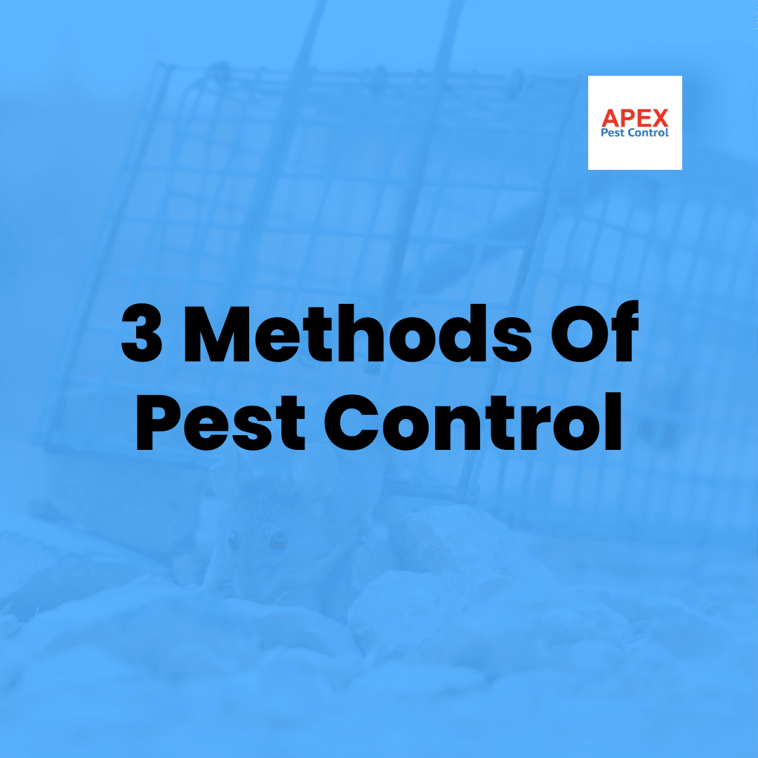 3 Methods Of Pest Control