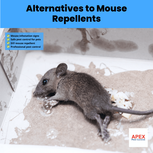 alternatives to mouse repellents
