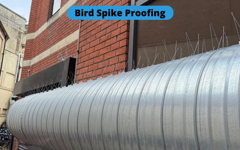 Bird proofing installation on a commercial building in Leeds by Apex Pest Control — deterrent system fitted by BPCA certified technicians