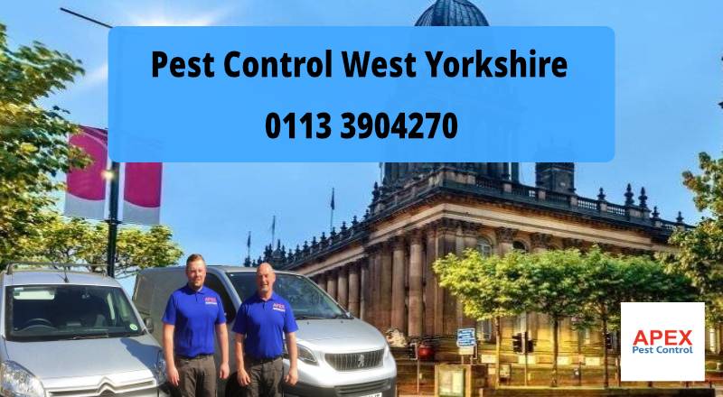 Pest services Leeds