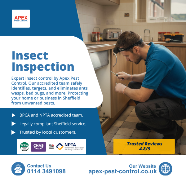 apex expert insect inspection