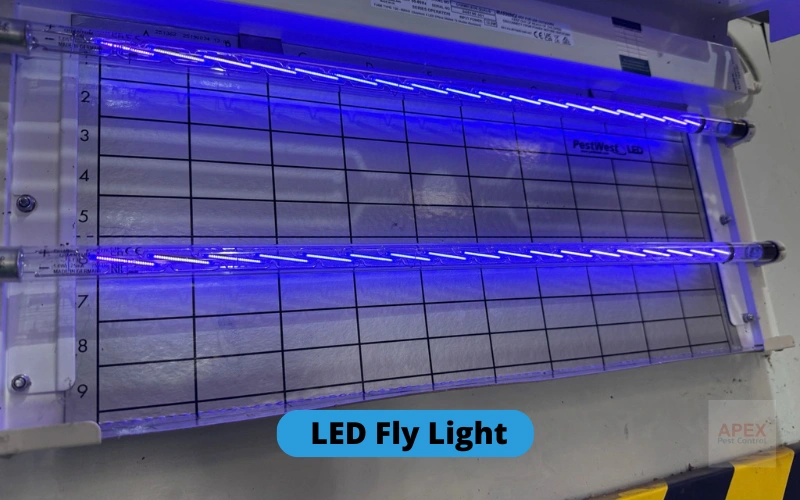 Commercial LED insect fly light unit installed by Apex Pest Control on a commercial premises in Leeds, West Yorkshire