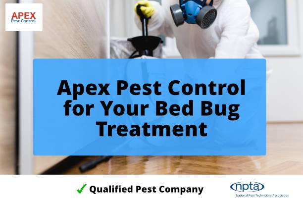 Bed Bug Treatment Cost UK