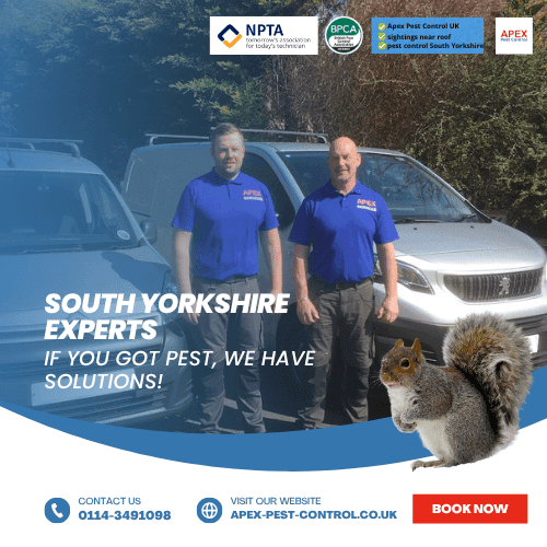 apex pest control south yorkshire experts