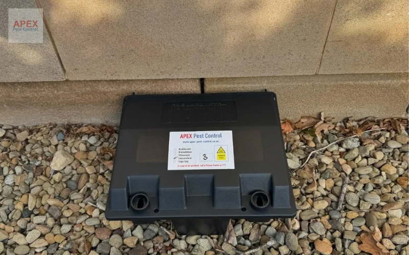 Tamper-resistant bait station placement for rat treatment in Leeds