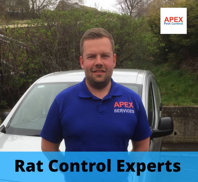 Leeds vermin control and proofing.