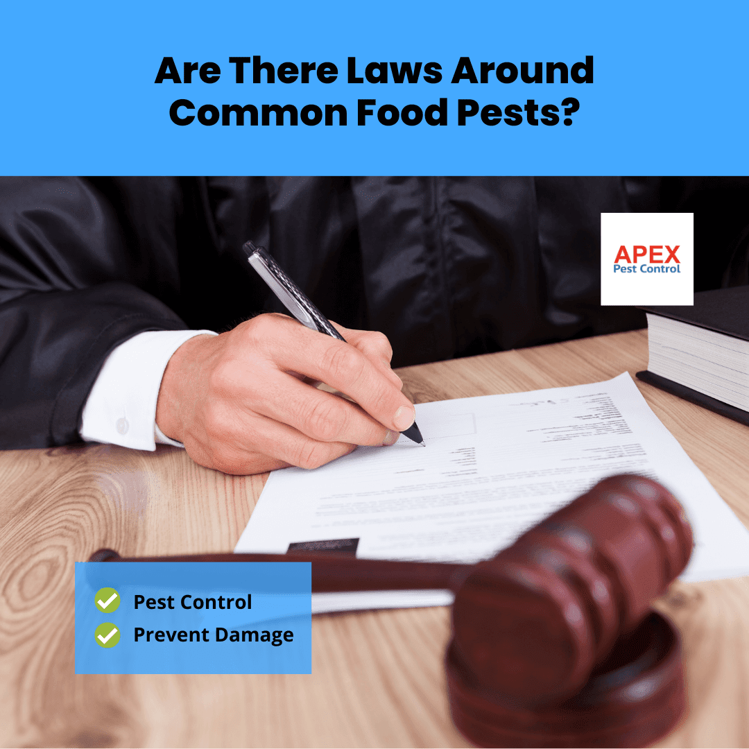 Are There Laws Around Common Food Pests