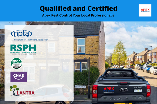 bpca, npta, rsph, chas & lantra certified