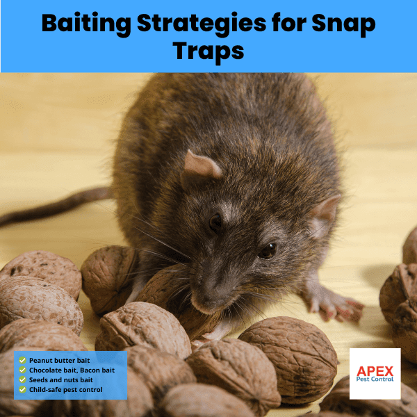 baiting strategies for snap traps