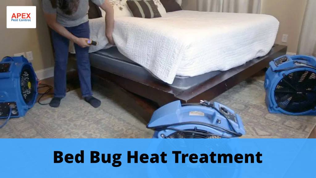 Bed Bug Heat Treatment
