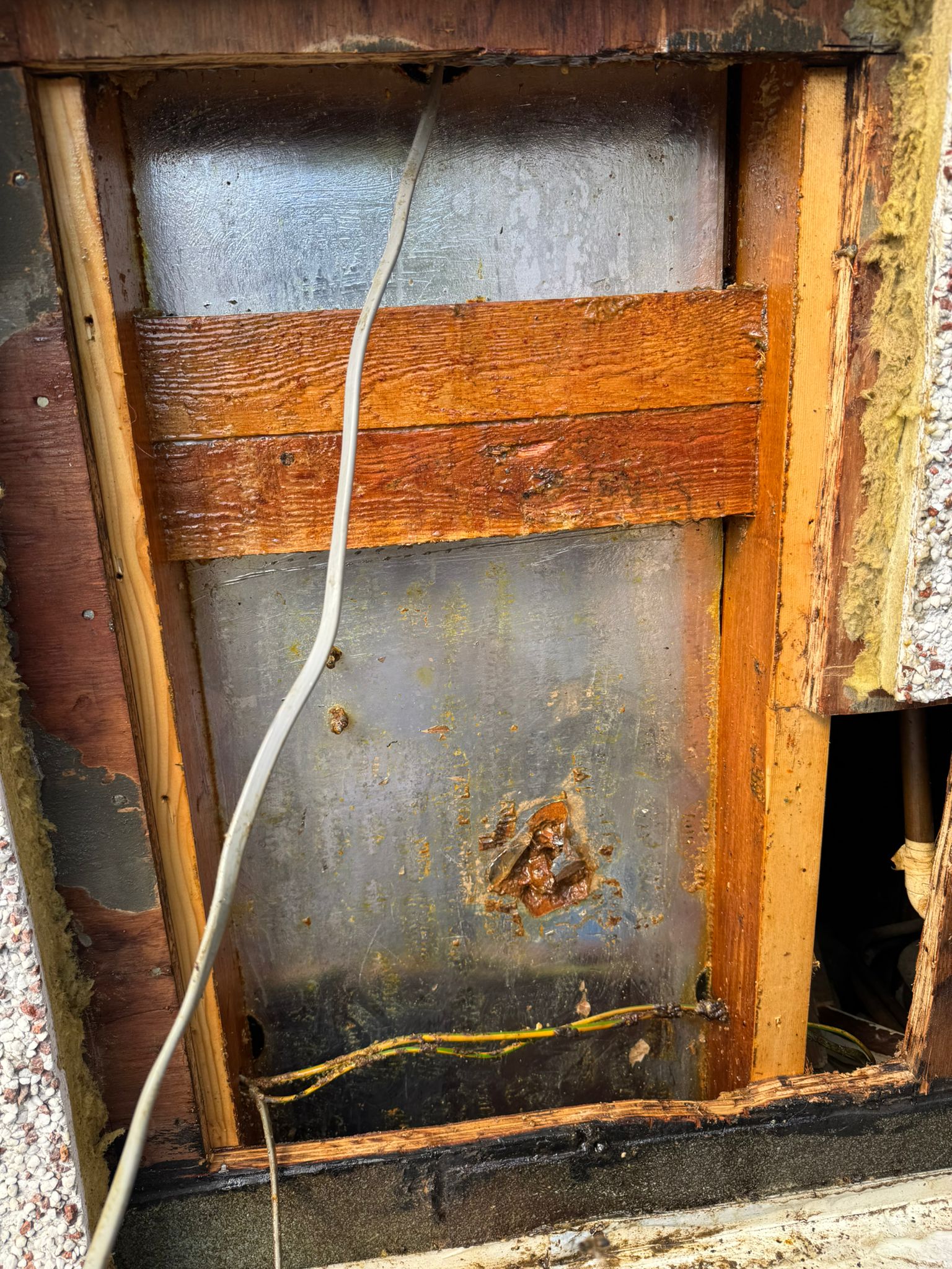 Honey bee nest located behind insulation panel inside a Leeds cavity wall
