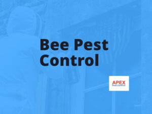 bee pest control