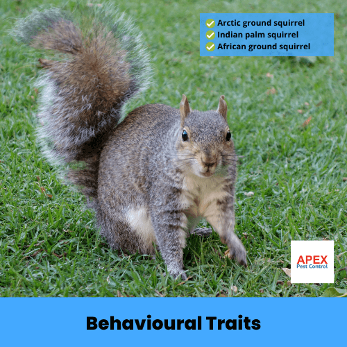 behavioural traits