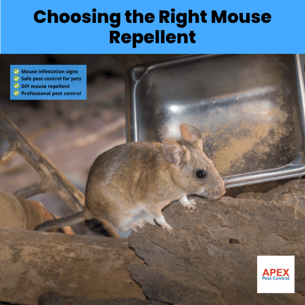 choosing the right mouse repellent