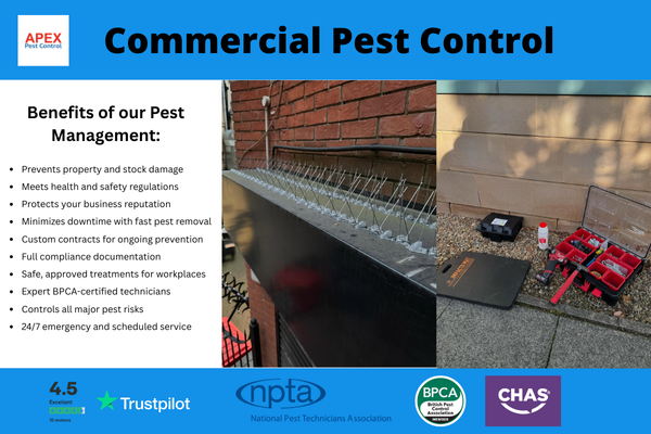 commercial pest control sheffield