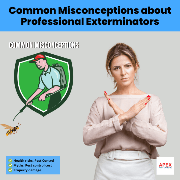 Common Misconceptions about Professional Exterminators