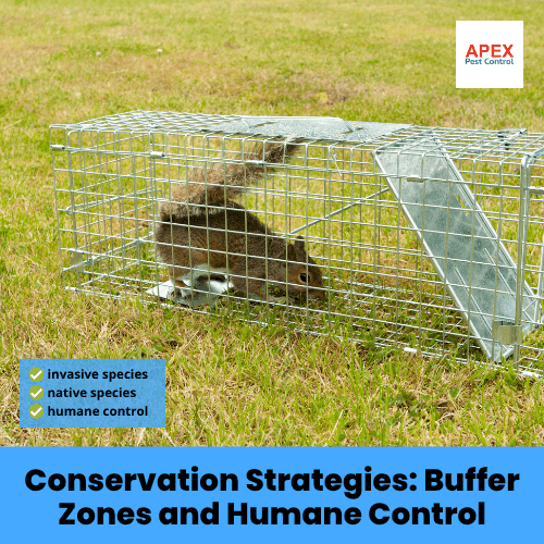 conservation strategies buffer zones and humane control