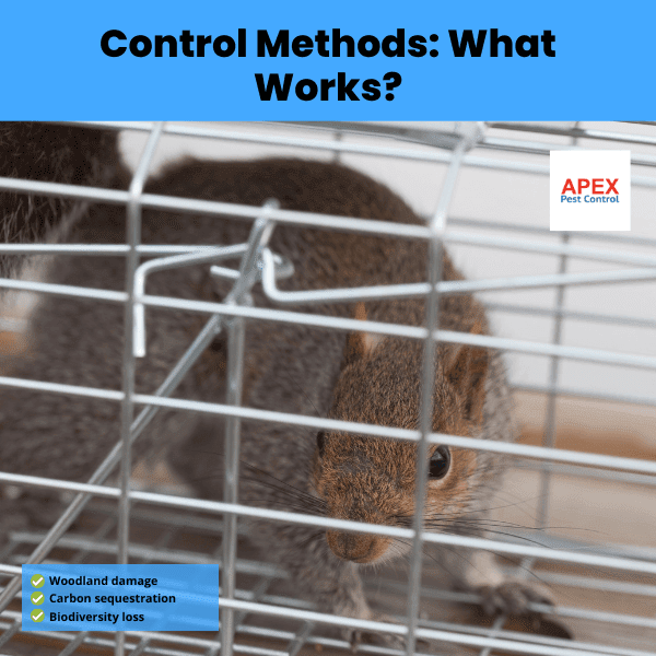 control methods what works