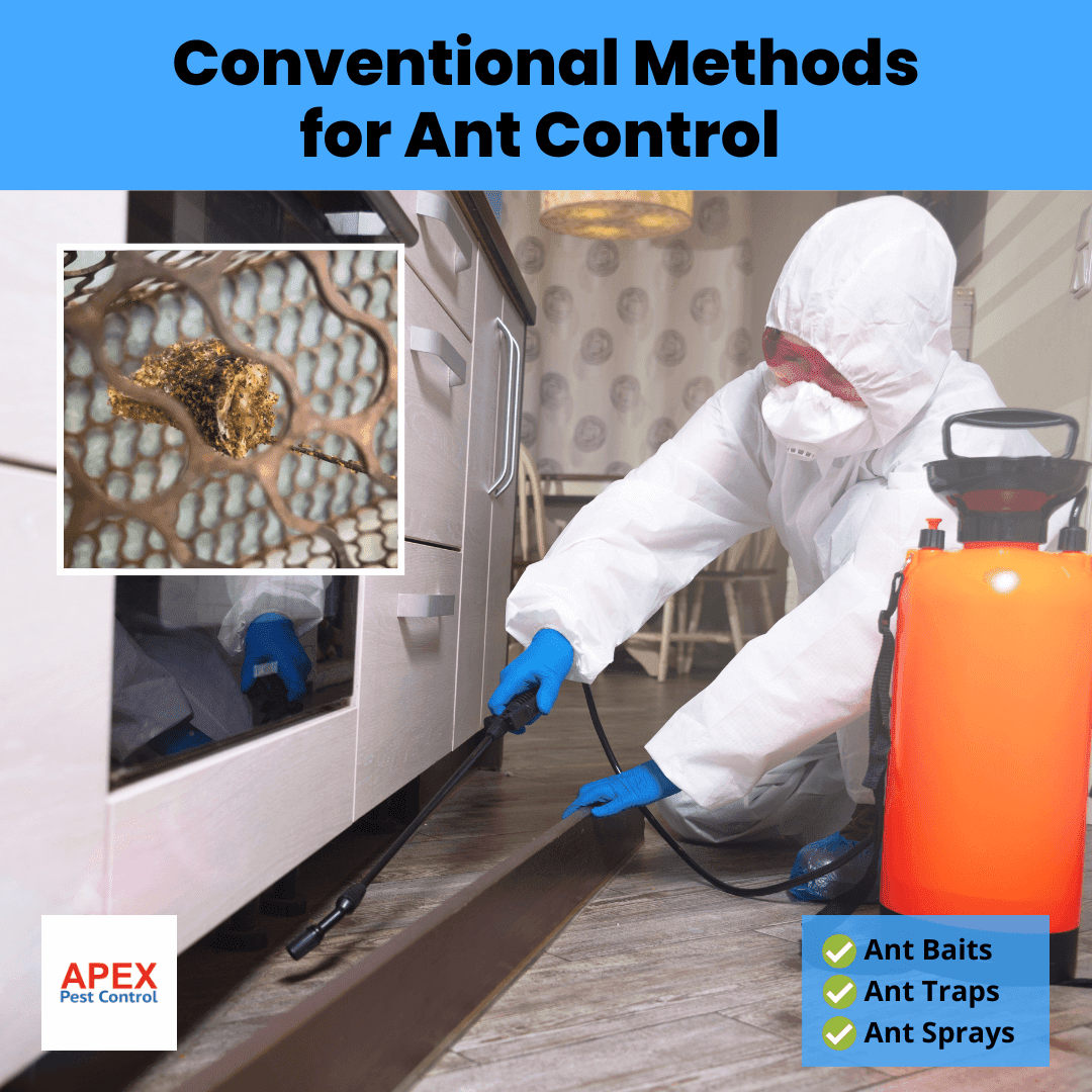 Conventional Methods for Ant Control