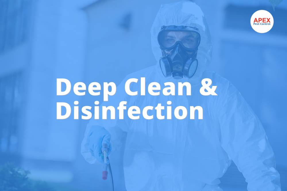 Coronavirus Deep Cleaning